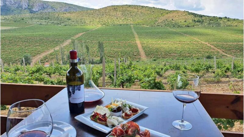 From Skopje: Lazar & Chateau Sopot Wineries Visit & Tastings - An In-Depth Look at the Wineries and What to Expect