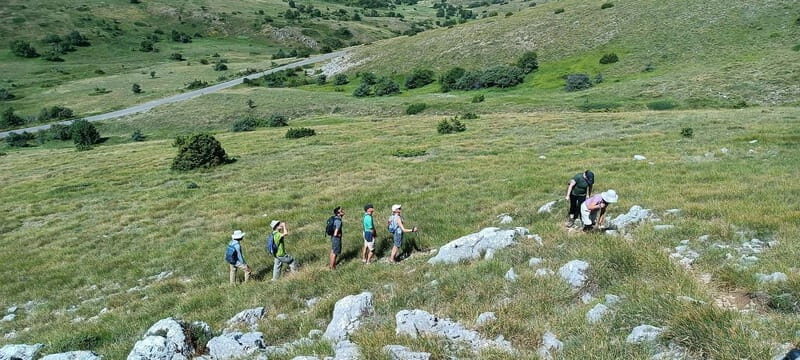 From Skopje: Ohrid and Magaro Peak Hike on Galicica Mountain - What Makes This Tour Stand Out?