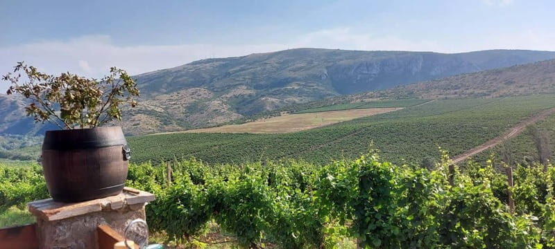 From Skopje: Private Tour of Sopot Winery with Lunch - What to Expect on the Sopot Winery Tour from Skopje