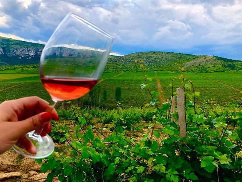 From Skopje: Private Tour of Sopot Winery with Lunch - Practical Tips for Your Visit