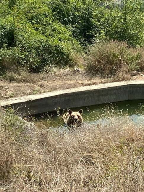 From Skopje: Prizren and Pristina, opt Kukes, Albania, a day - The Charm of Prizren