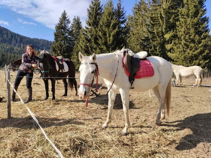 From Smolyan: Waterfalls Canyon Horseback Riding Tour - Tour Itinerary Breakdown