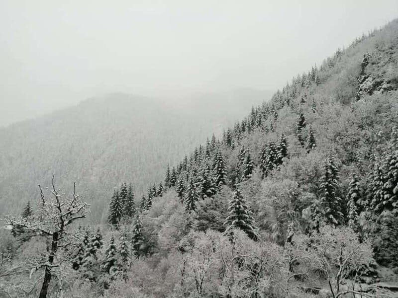 From Smolyan: Waterfalls Canyon Horseback Riding Tour - The Sum Up