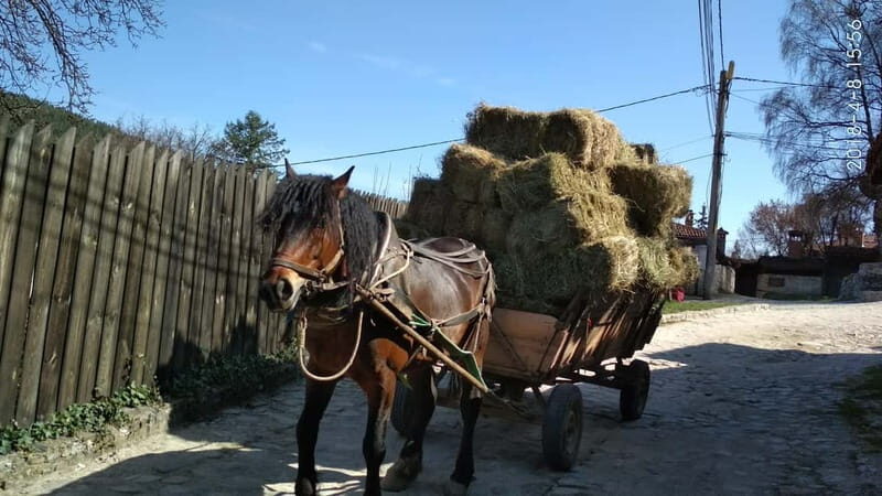 From Sofia: Koprivshtitsa, Starosel, and Wine Tasting Tour - Key Points