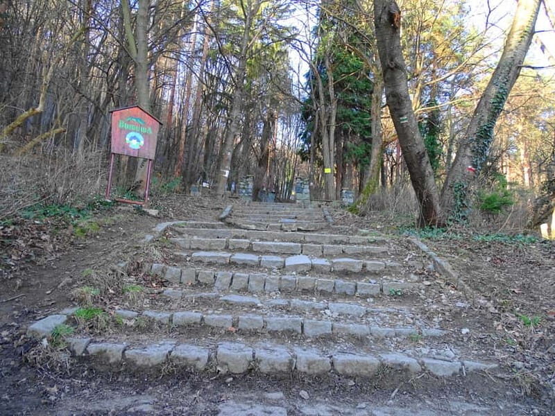 From Sofia: One-Day Tour of Vitosha Mountain - An Overview of the Vitosha Mountain Experience