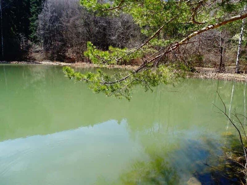 From Sofia: One-Day Tour of Vitosha Mountain - Who Will Love This Tour?