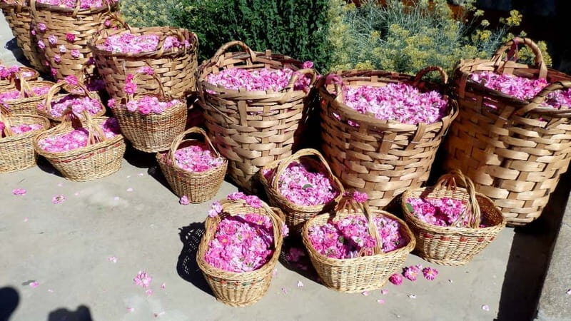 From Sofia: The Rose Valley & Buzludzha Monument 12 hrs Tour - The Sum Up