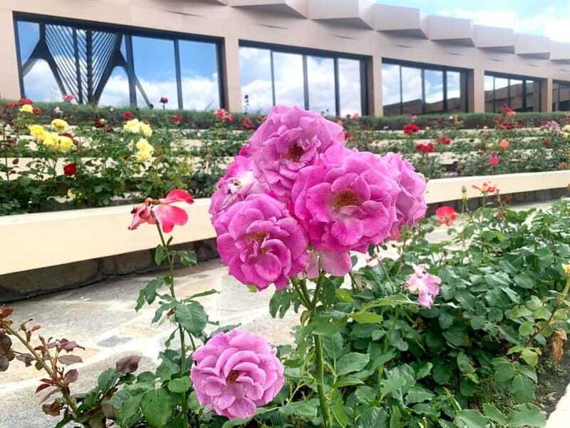 From Sofia: The Rose Valley & Buzludzha Monument 12 hrs Tour - FAQ