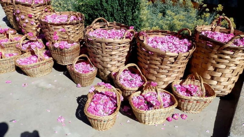 From Sofia: The Rose Valley & Koprivshtitsa 12 hrs Day Tour - From Sofia: The Rose Valley & Koprivshtitsa 12 hrs Day Tour — An Authentic Bulgarian Experience