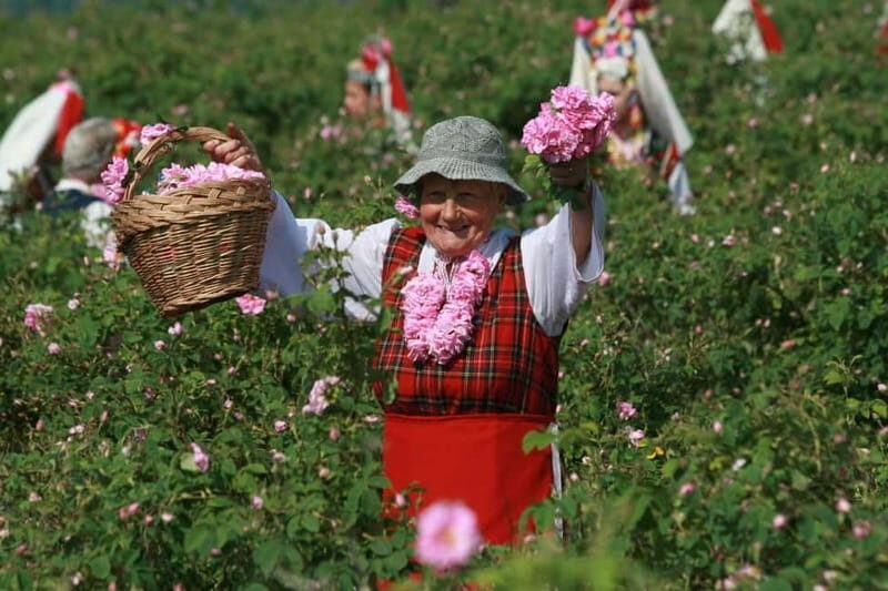 From Sofia: The Rose Valley & Koprivshtitsa 12 hrs Day Tour - What You’ll Love About This Tour