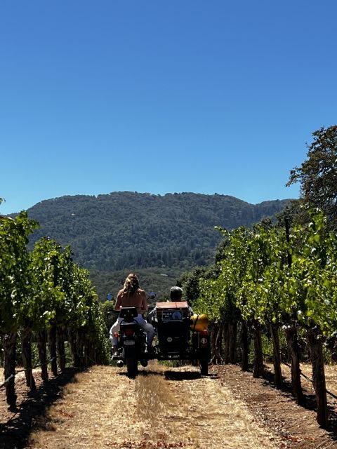 From Sonoma: Napa Valley Classic Sidecar Tour to 3 Wineries - Who This Tour Is Best For