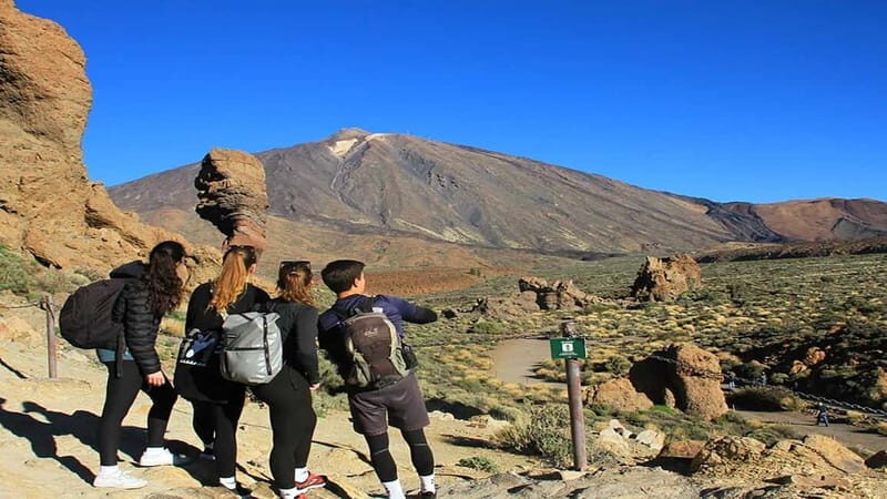 From South Tenerife: Half-Day Tour to Mount Teide - FAQ