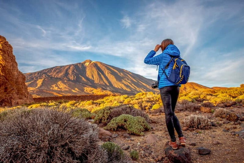 From South Tenerife: Mount Teide Hiking Day Trip & Cable Car - What to Expect on this Mount Teide Experience