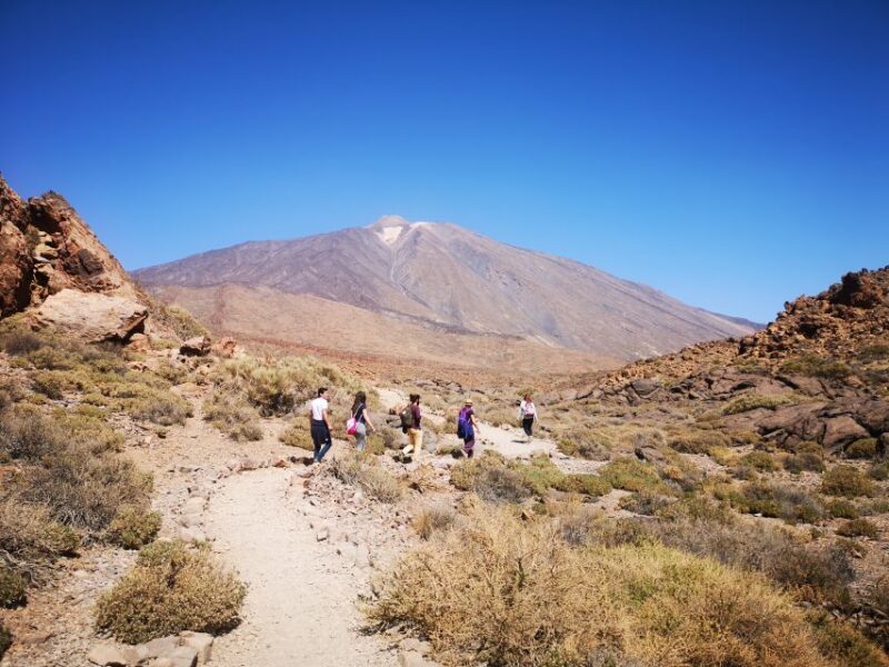 From South Tenerife: Teide National Park Tour - A Deep Dive into the Experience