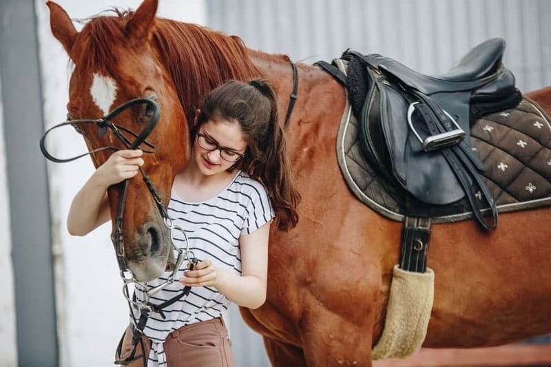 From Split: All-Inclusive Horse Riding and Jeep Exploration - Final Thoughts