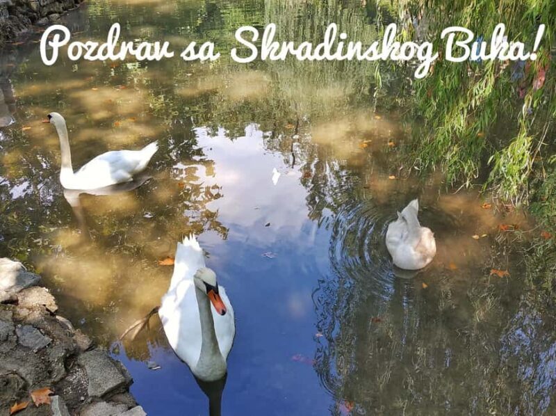 From Split: Krka Waterfalls Guided Tour & Ticket Discount - The Sum Up