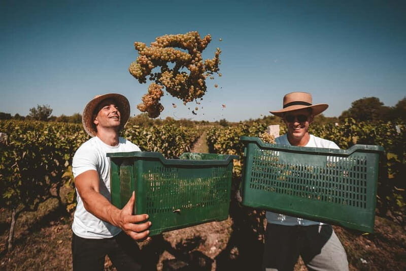 From Split: Krka Waterfalls with Wine & Cheese Tasting Tour - The Itinerary: What to Expect on the Day