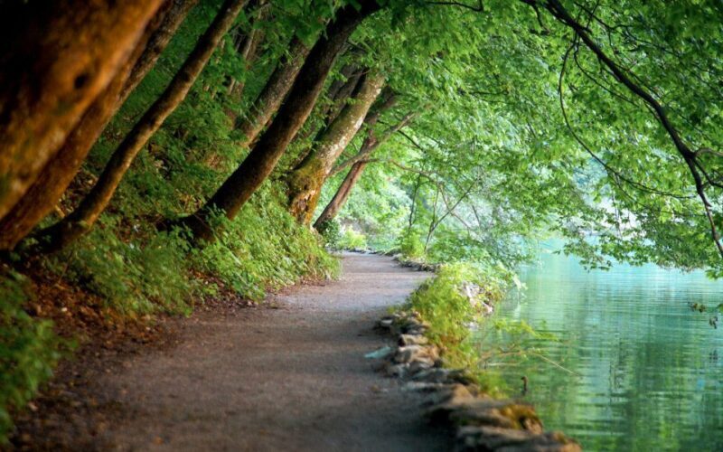 From Split or Trogir: Plitvice Lakes Guided Full-Day Tour - The Itinerary: What’s Included and What You’ll Experience