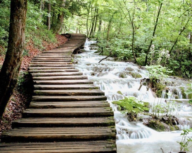 From Split or Trogir: Plitvice Lakes Guided Full-Day Tour - The Sum Up: Who Will Love This Tour?