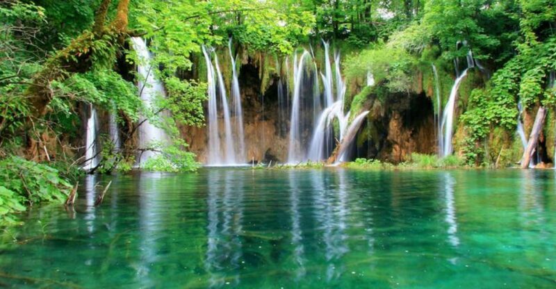 From Split or Trogir: Plitvice Lakes Private Tour - What to Expect from the Plitvice Lakes Private Tour
