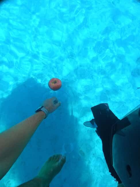 From Split or Trogir: Private speedboat tour to Blue Lagoon - Exploring the Blue Lagoon