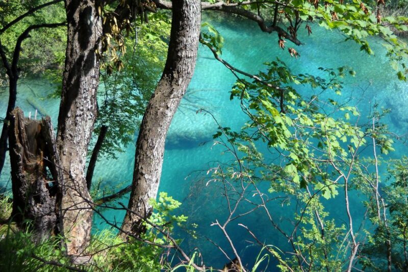 From Split: Plitvice Lakes Fully-Guided Day Tour - Entry & Guided Walks Through the Lakes