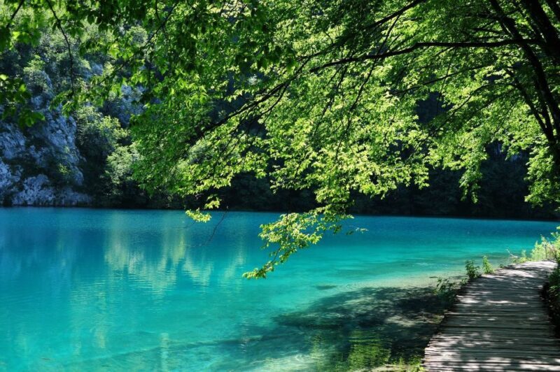 From Split: Private Tour to Plitvice Lakes National Park - An In-Depth Look at the Experience