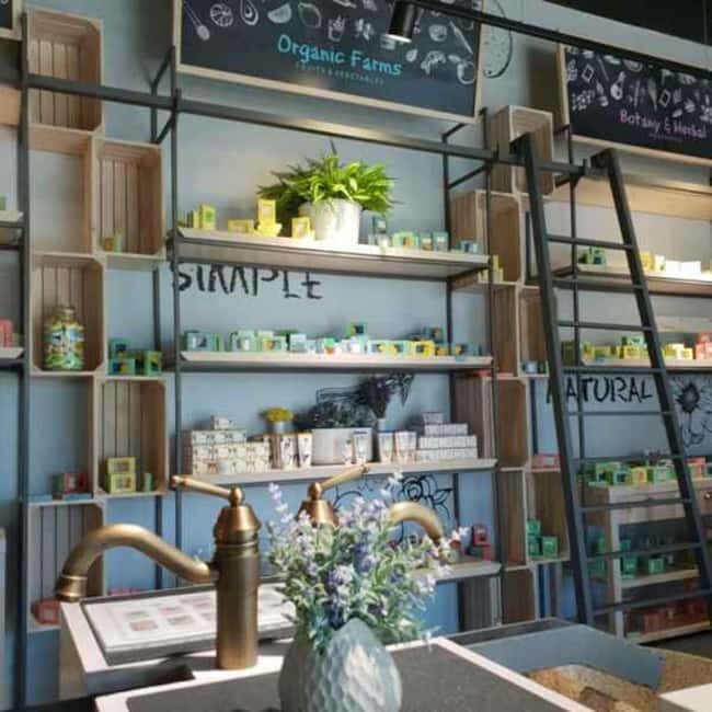 From Split: Salona, Klis Fortress, Stella and Vranjaca Cave - Final Thoughts: Who Will Enjoy This Tour Most?