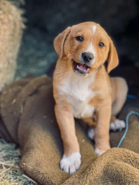 From Split: Sinj's Alka, Eye of the Earth, & Rural Day Trip - Discovering the Cultural Heart of Sinj and Beyond