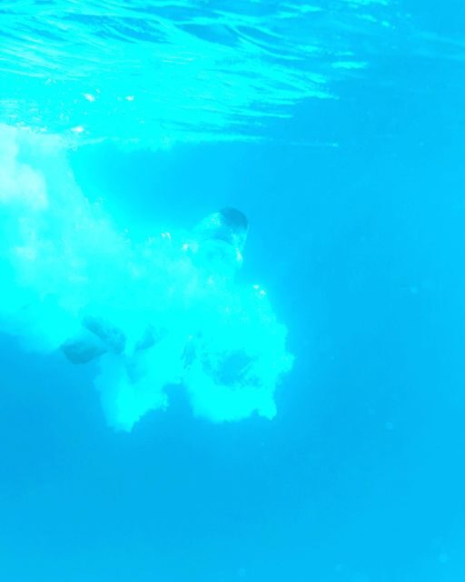 From Split/Trogir: Blue Lagoon & 2 Islands half-day Private - Practical Details for Your Trip