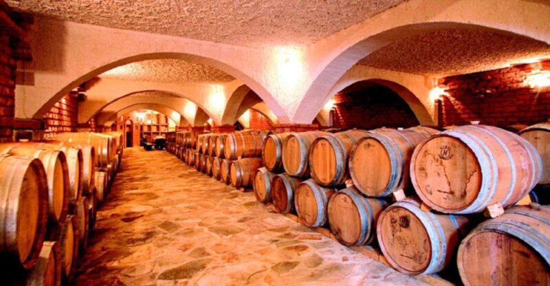 From Split & Trogir: Peljeac Peninsula Food & Wine Tour - Authentic Experiences Highlighted by Reviewers