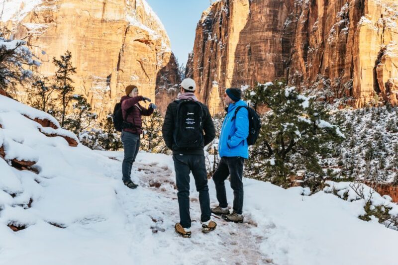 From Springdale: 4-hour Zion Canyon Scenic Hiking Tour - Exploring Zion Canyon on a Private Guided Hike