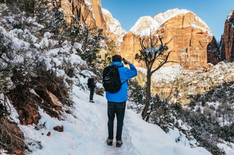 From Springdale: 4-hour Zion Canyon Scenic Hiking Tour - Who Will Love This Tour?