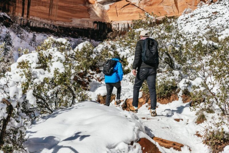 From Springdale: 4-hour Zion Canyon Scenic Hiking Tour - The Sum Up
