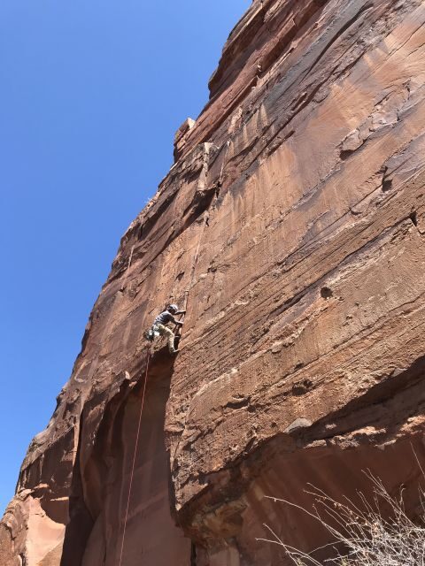 From Springdale: Half-Day Rock Climbing Experience - Key Points