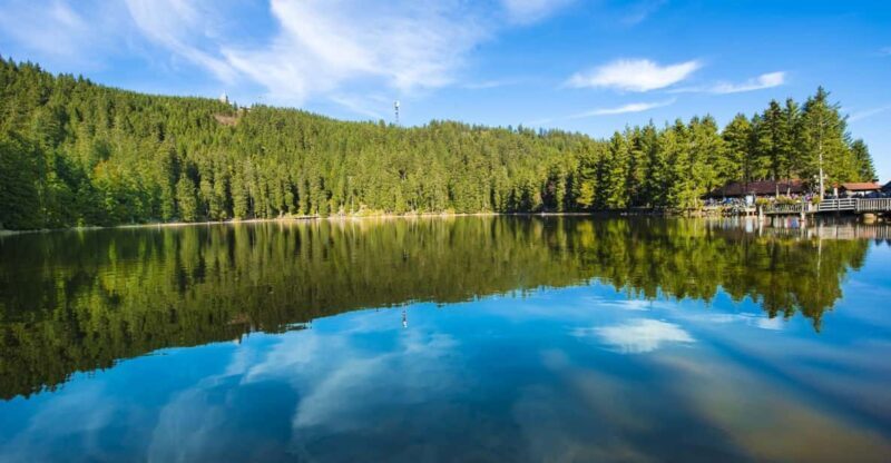 From Strasbourg: Black Forest and Baden Baden Day Trip - A Deep Dive into the Experience