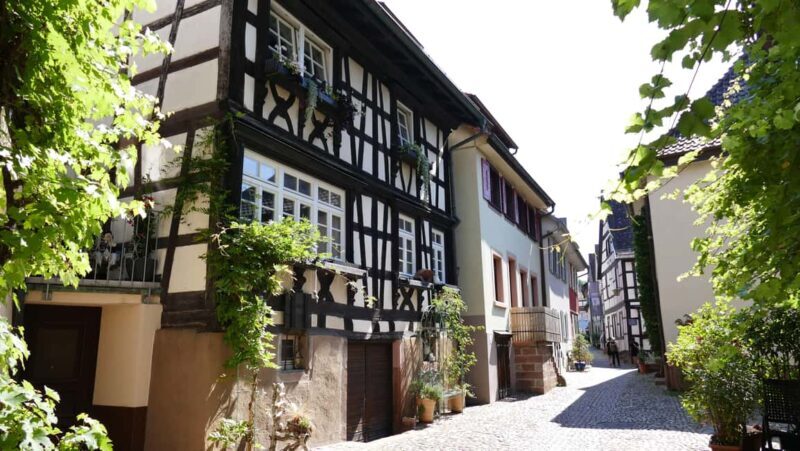 From Strasbourg: Black Forest Day Trip with Guide & Museum - Overview of the Tour Experience