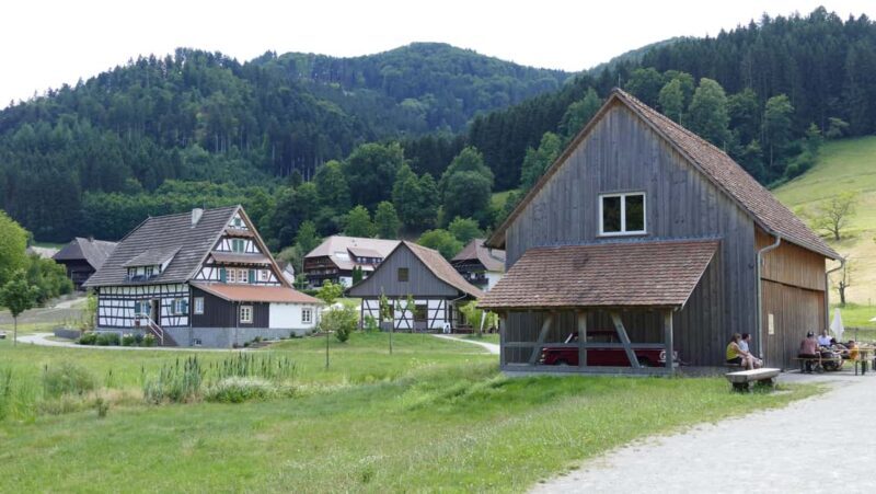 From Strasbourg: Black Forest Day Trip with Guide & Museum - Practical Details and Logistics