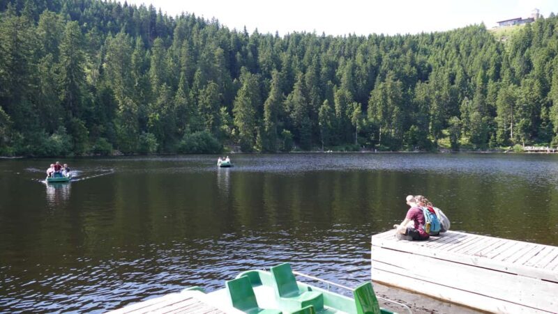 From Strasbourg: Black Forest Day Trip with Guide & Museum - Who Should Book This Tour