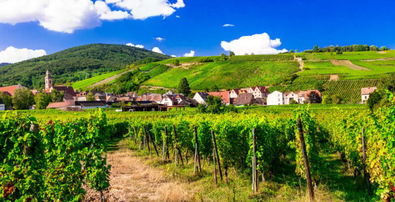 From Strasbourg: Half-Day Tour of Alsace Villages - Who Will Enjoy This Tour?