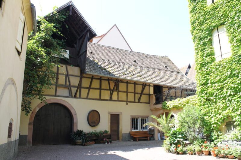 From Strasbourg: Half-Day Tour of Alsace Villages - The Sum Up