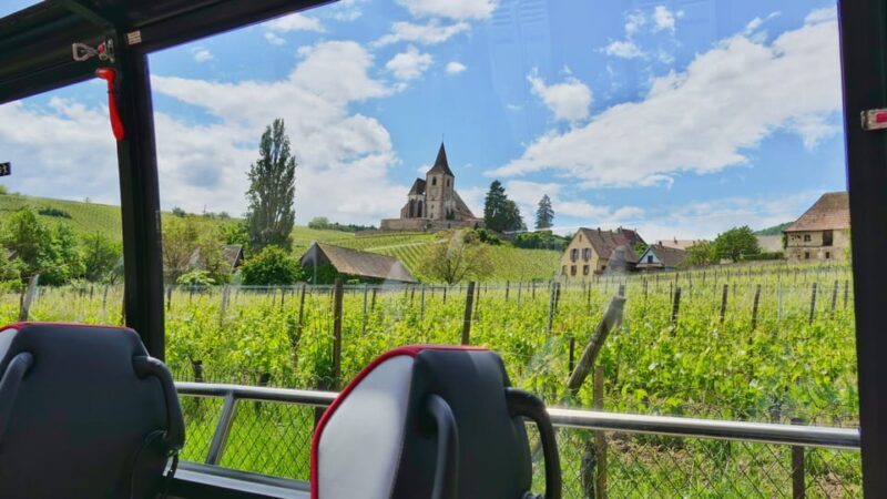 From Strasbourg: Medieval Villages & Wine Tasting Day Trip - The Sum Up