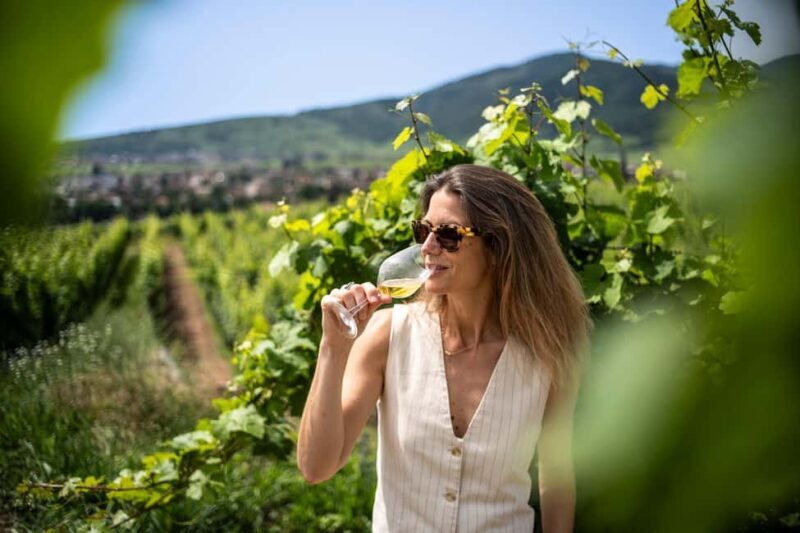 From Strasbourg: Private Alsace Classic Wine Tour - Key Points