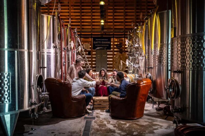 From Strasbourg: Private Alsace Classic Wine Tour - What Reviewers Say