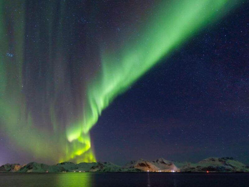 From Svolvær: Guided Northern Lights Tour by Van - Key Points
