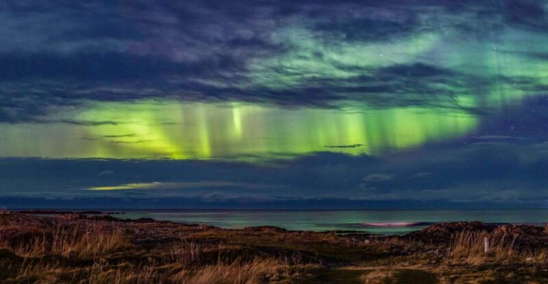 From Svolvær: Guided Northern Lights Tour by Van - What to Expect from This Northern Lights Tour