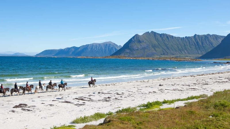 From Svolvær: Henningsvær Lofoten East Island Full Day Tour - Exploring the Journey: A Detailed Breakdown