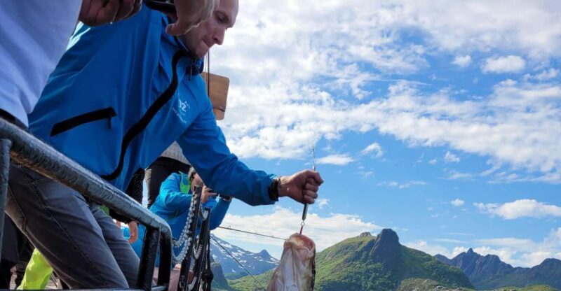From Svolvaer: Lofoten Fishing Boat Cruise - The Experience Throughout the Year