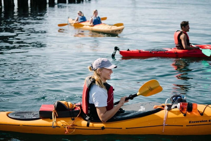 From Svolvær: Lofoten Guided Kayak Experience - The Experience from the Guides