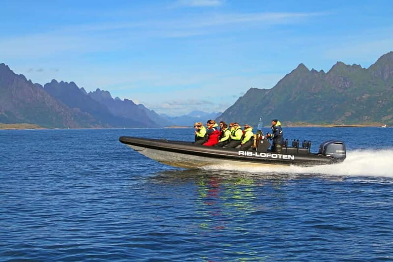 From Svolvær: Lofoten RIB Sea Eagle Safari Trollfjord Cruise - FAQ